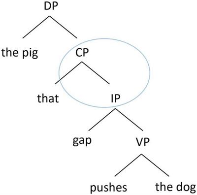 Revisiting Subject–Object Asymmetry in the Production of Cantonese Relative Clauses: Evidence From Elicited Production in 3-Year-Olds